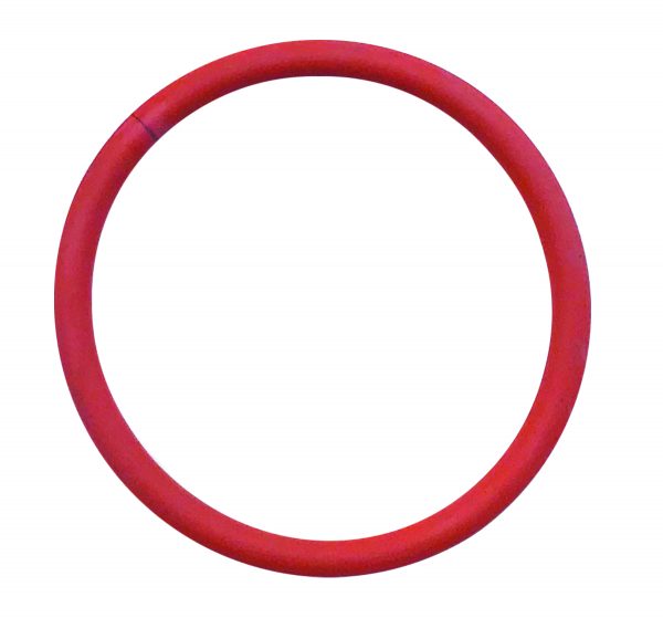 Silicone O-Ring